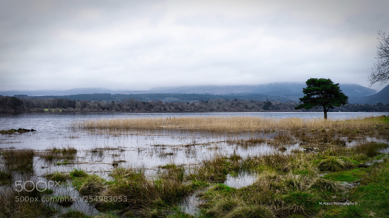 Fujifilm X100F sample photo. Untitled photography
