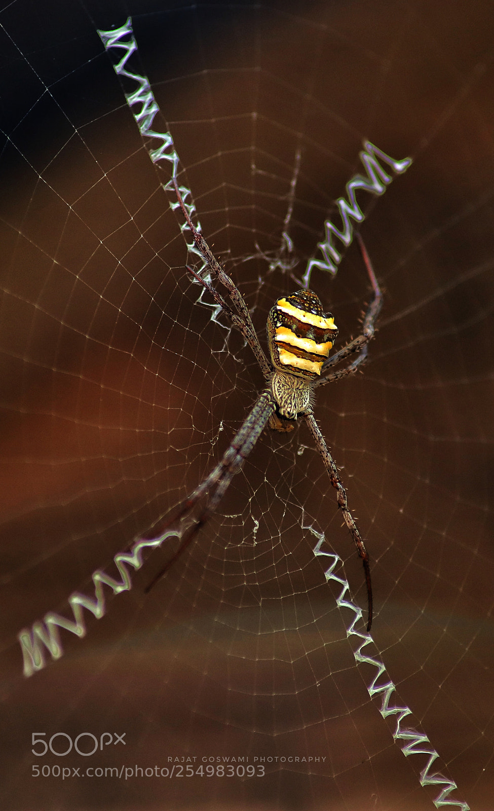 Canon EOS 6D Mark II sample photo. Macro photography