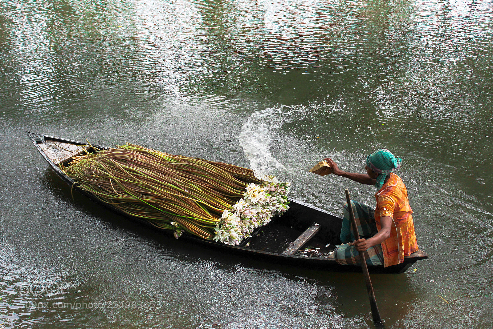 Canon EOS 600D (Rebel EOS T3i / EOS Kiss X5) sample photo. Waterlily market photography