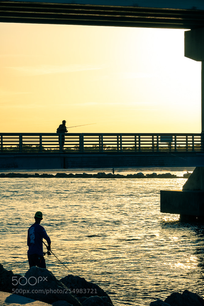 Fujifilm X-T2 sample photo. Under the bridge photography