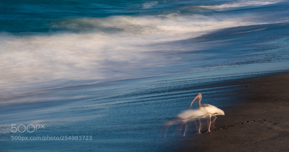 Fujifilm X-T2 sample photo. Beach photography