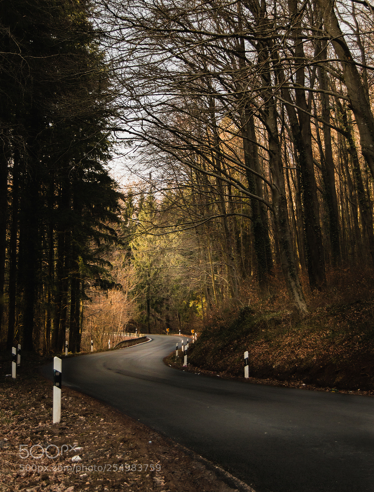 Nikon D3200 sample photo. Places bien lumineuses photography