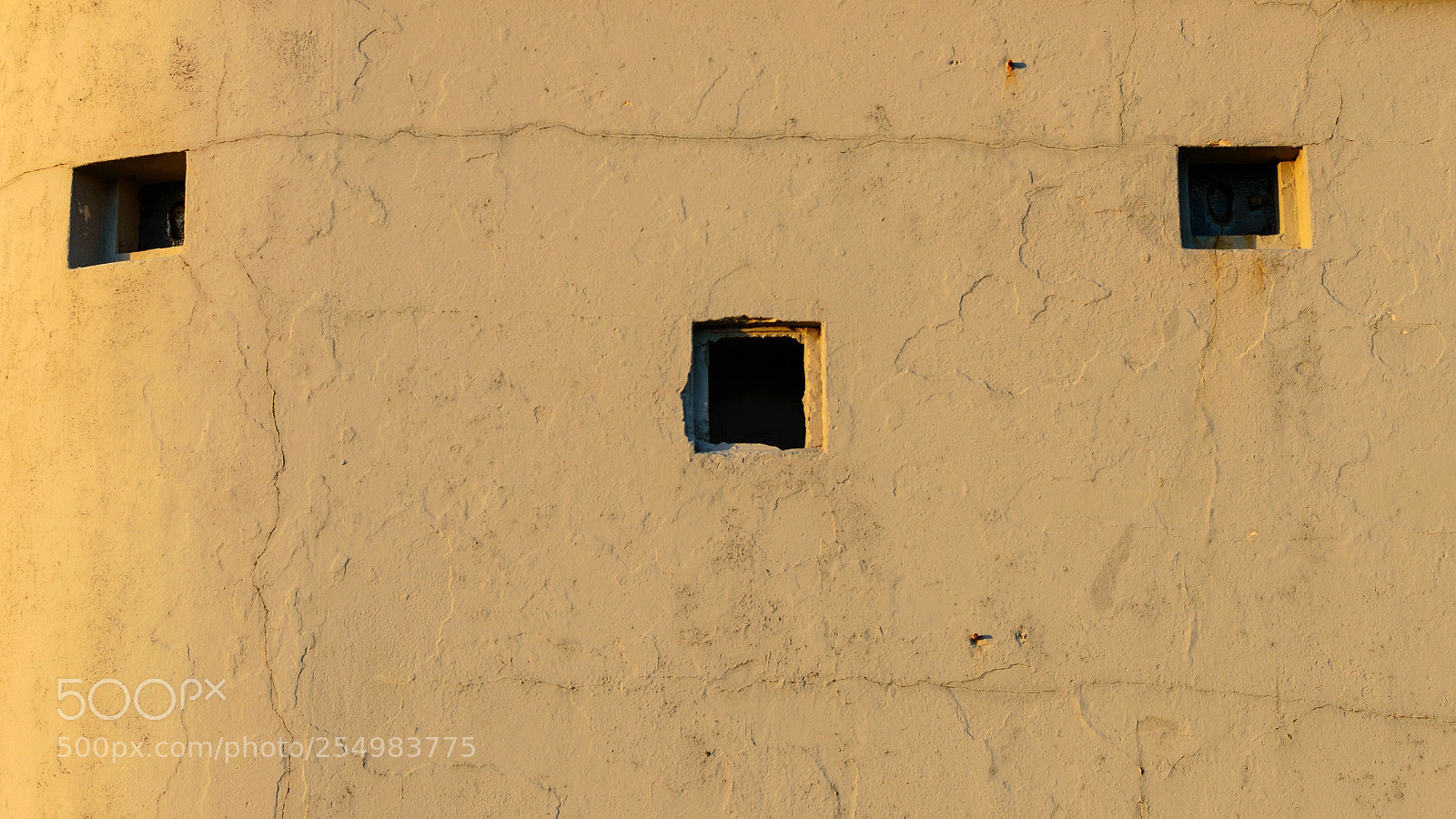 Nikon D3200 sample photo. Untitled photography
