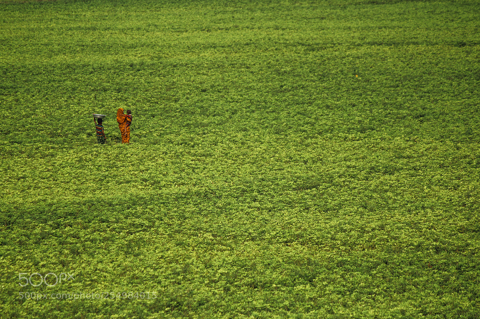Canon EOS 600D (Rebel EOS T3i / EOS Kiss X5) sample photo. Beautiful sunamganj photography