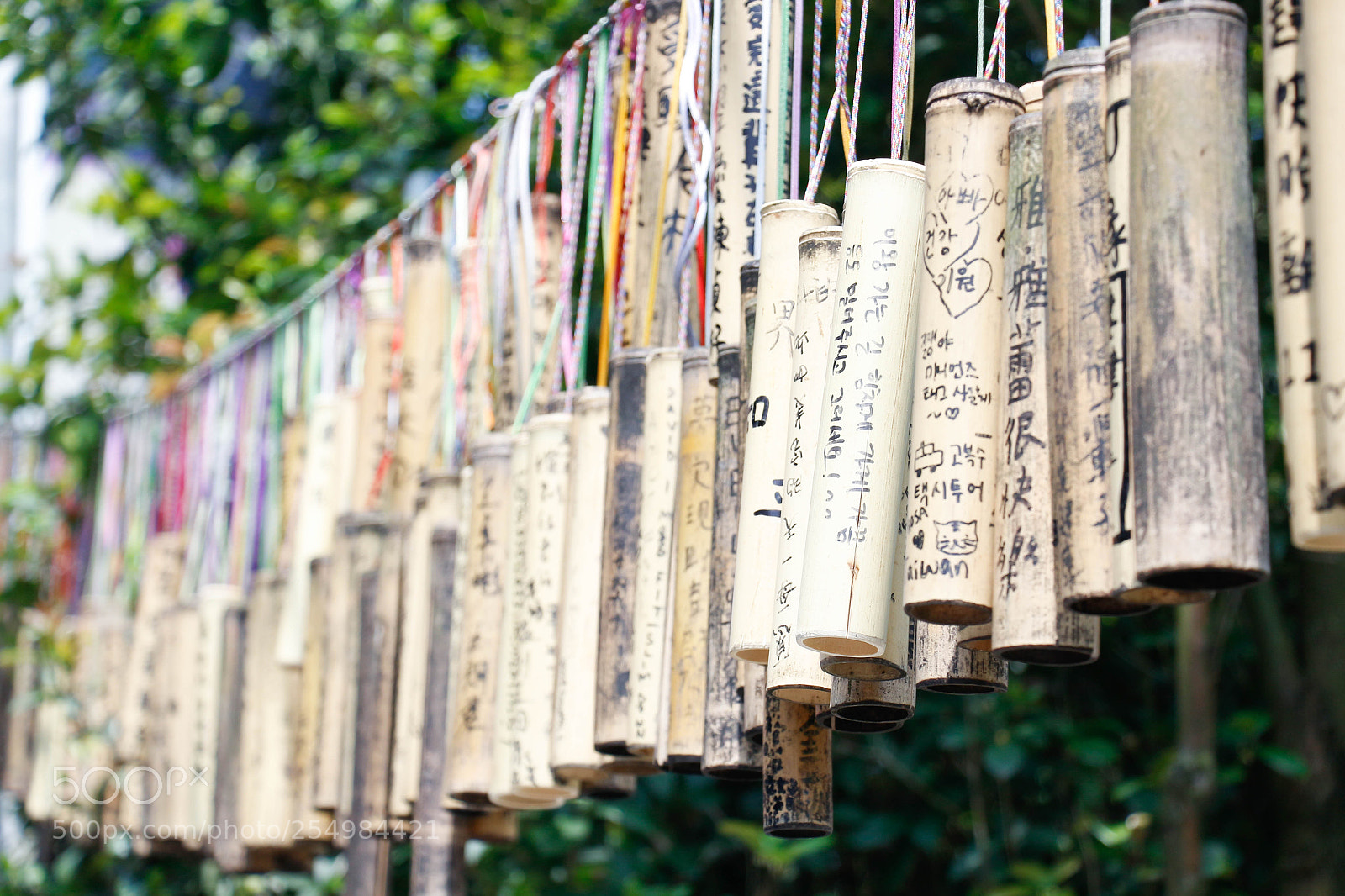 Canon EOS 700D (EOS Rebel T5i / EOS Kiss X7i) sample photo. Mg photography