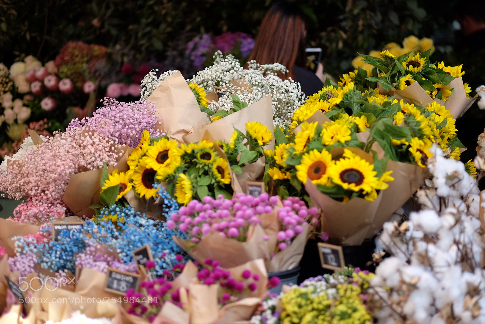Fujifilm X-T1 sample photo. Untitled photography