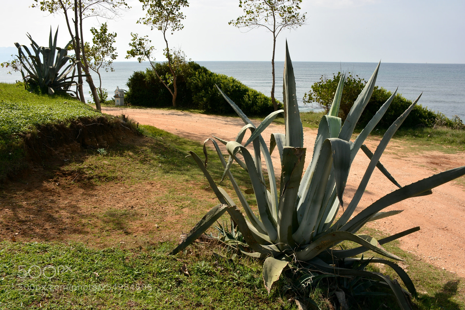 Nikon D7100 sample photo. #144 photography