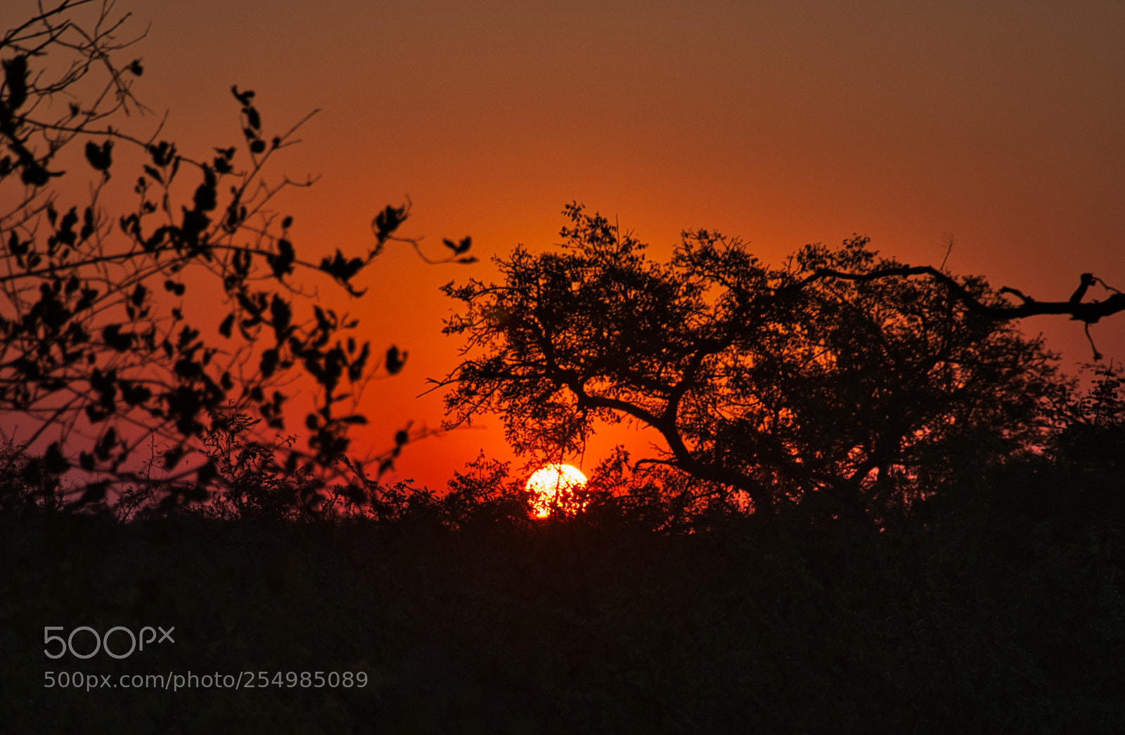 Nikon D90 sample photo. Sunrise on the reserve photography