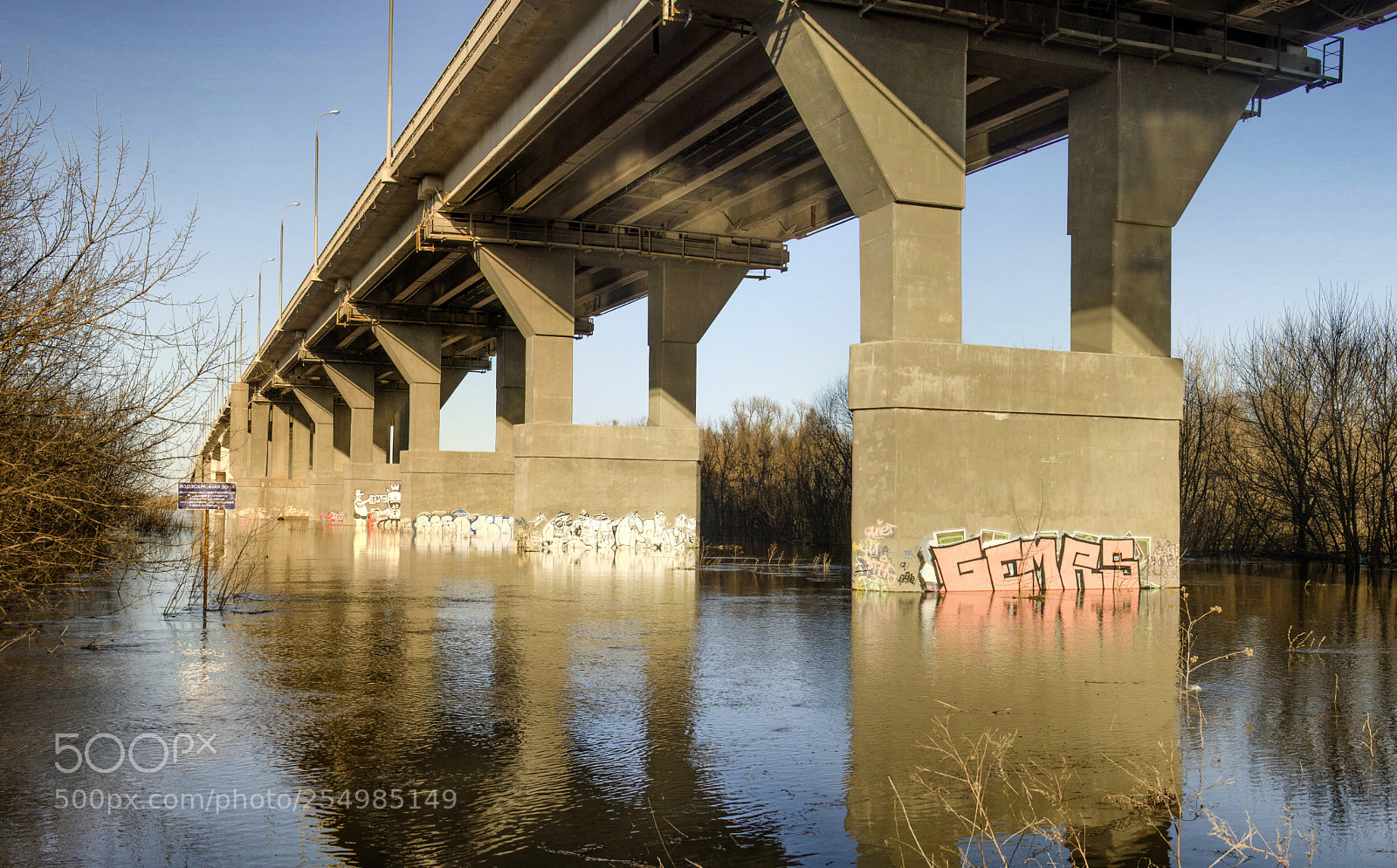 Nikon D7000 sample photo. Spring flood photography