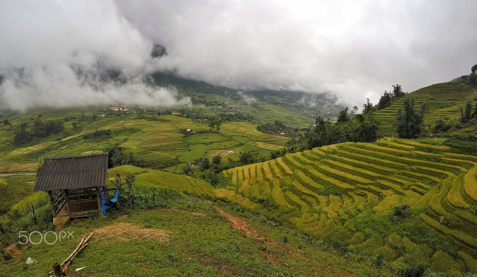 GoPro HERO4 Silver sample photo. Rice photography