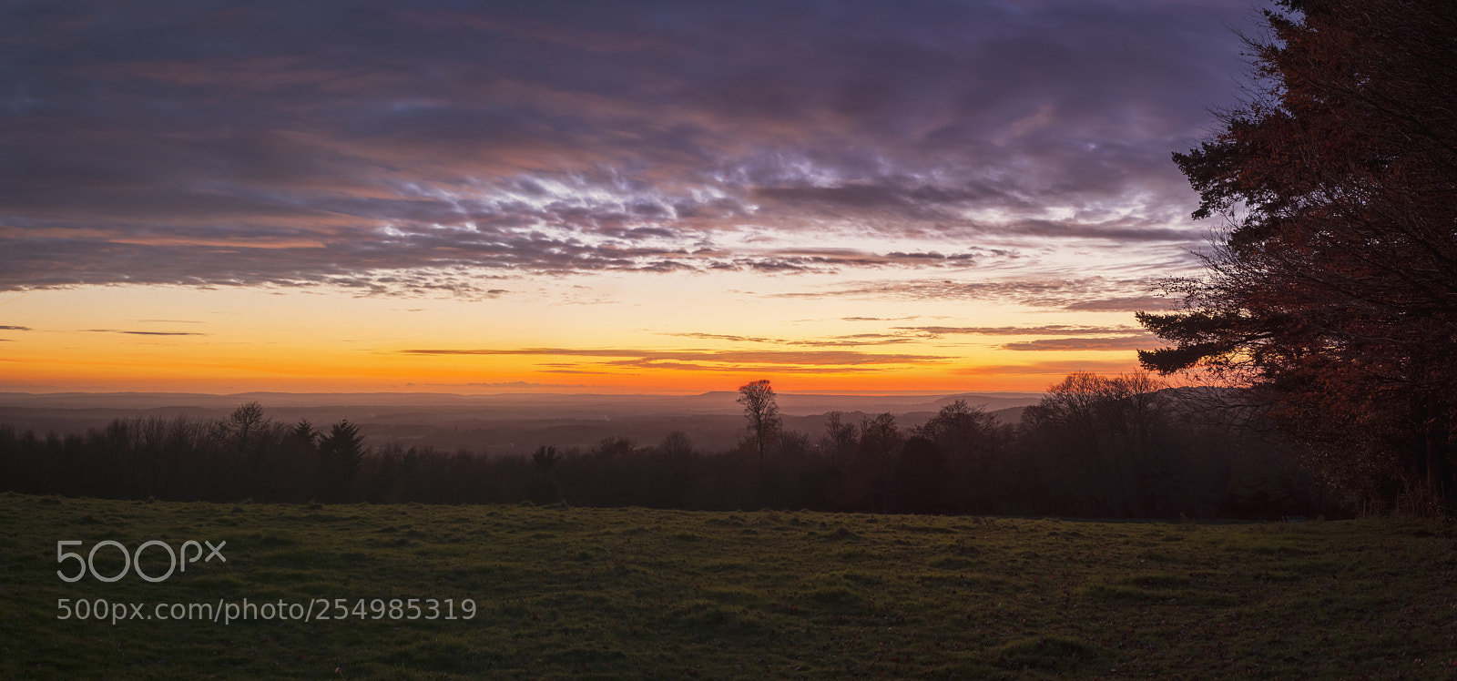 Canon EOS 5D Mark II sample photo. North downs photography