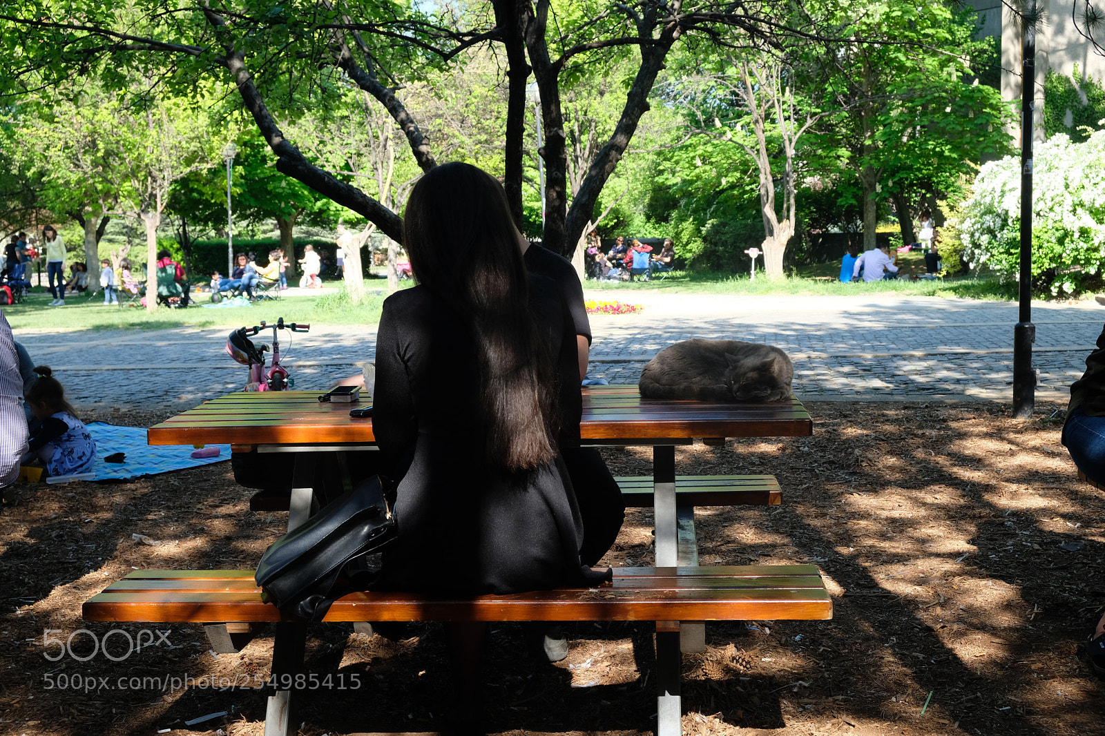 Fujifilm X-T20 sample photo. Untitled photography
