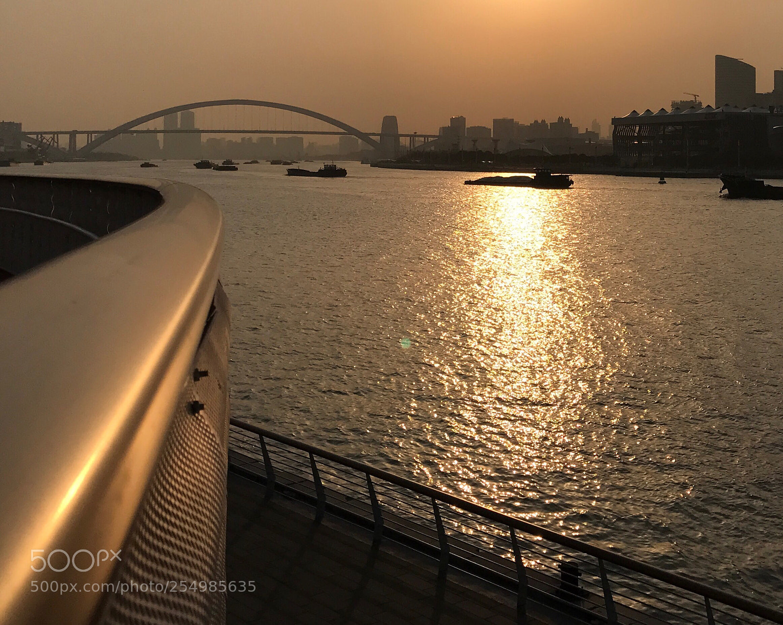 Apple iPhone 7 Plus sample photo. 尝试逆光拍摄 photography