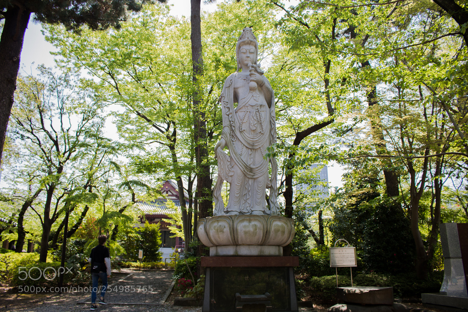 Canon EOS 750D (EOS Rebel T6i / EOS Kiss X8i) sample photo. Wondering photography