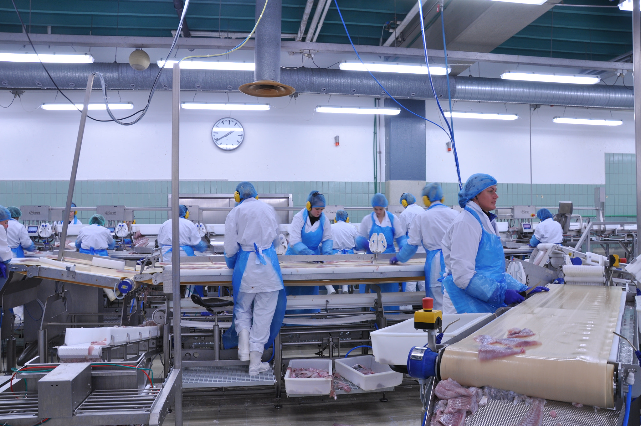 Nikon D5000 sample photo. Food industry updates photography