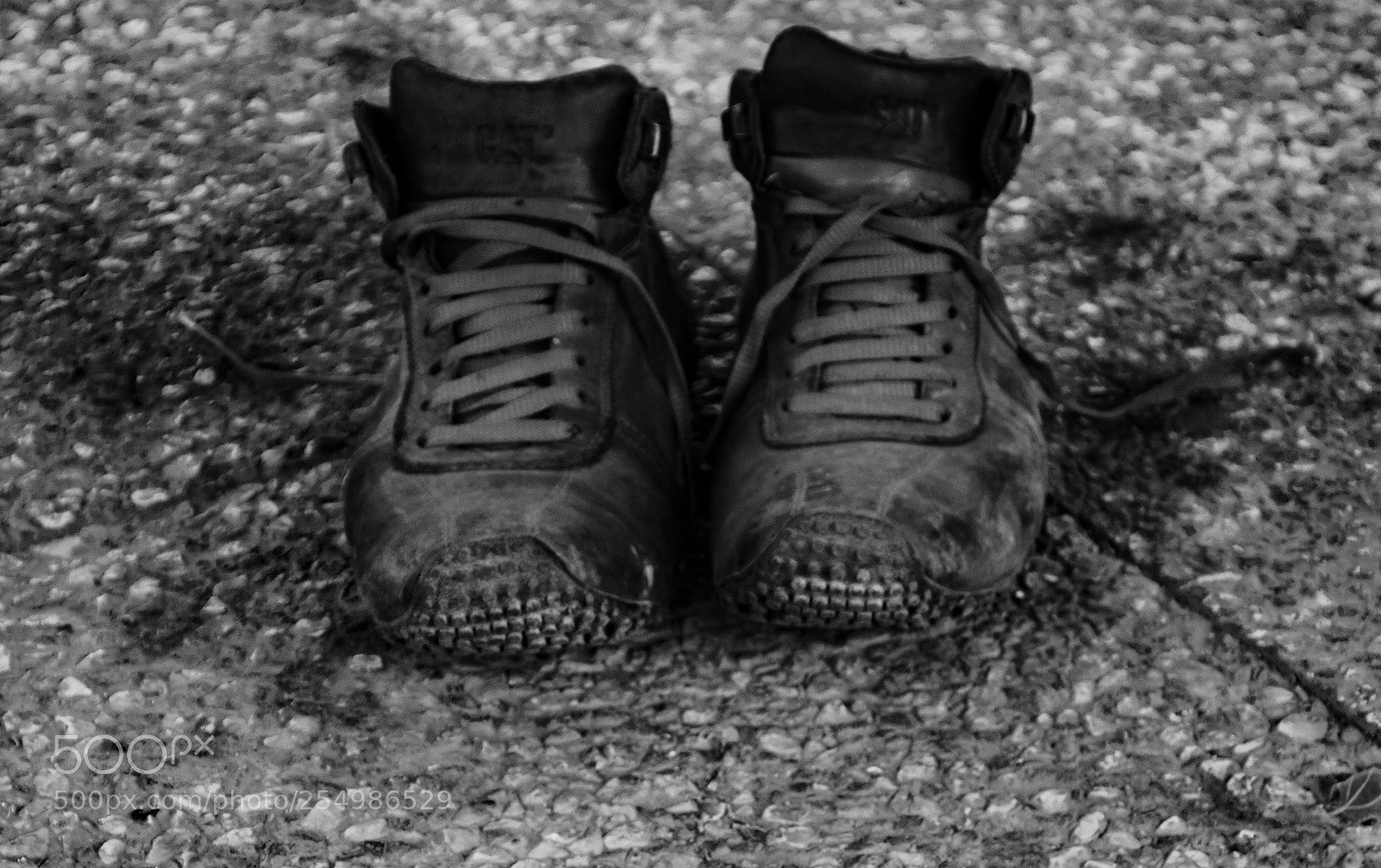 Canon EOS 650D (EOS Rebel T4i / EOS Kiss X6i) sample photo. Mg photography
