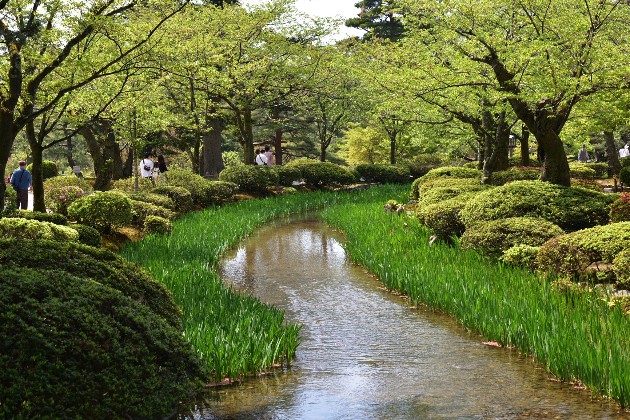 Nikon AF-S Micro-Nikkor 60mm F2.8G ED sample photo. 花見橋から見る新緑の曲水 兼六園 photography