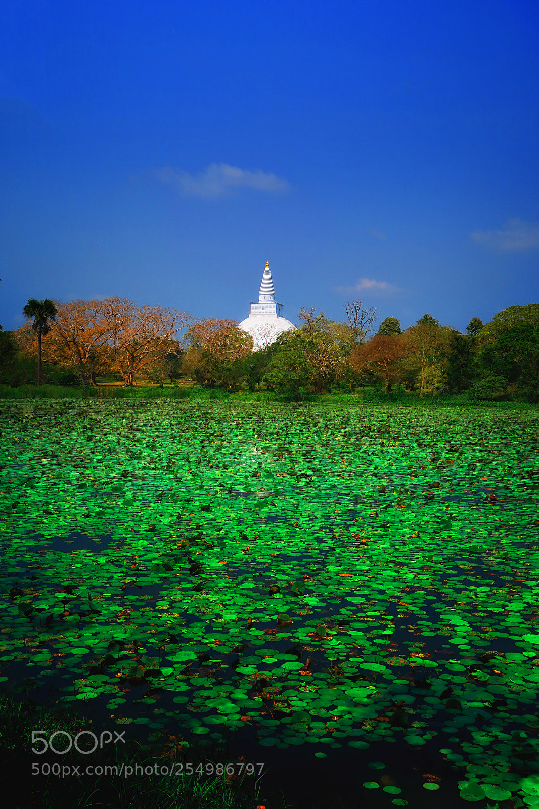 Canon PowerShot G5 X sample photo. Anuradhapura photography