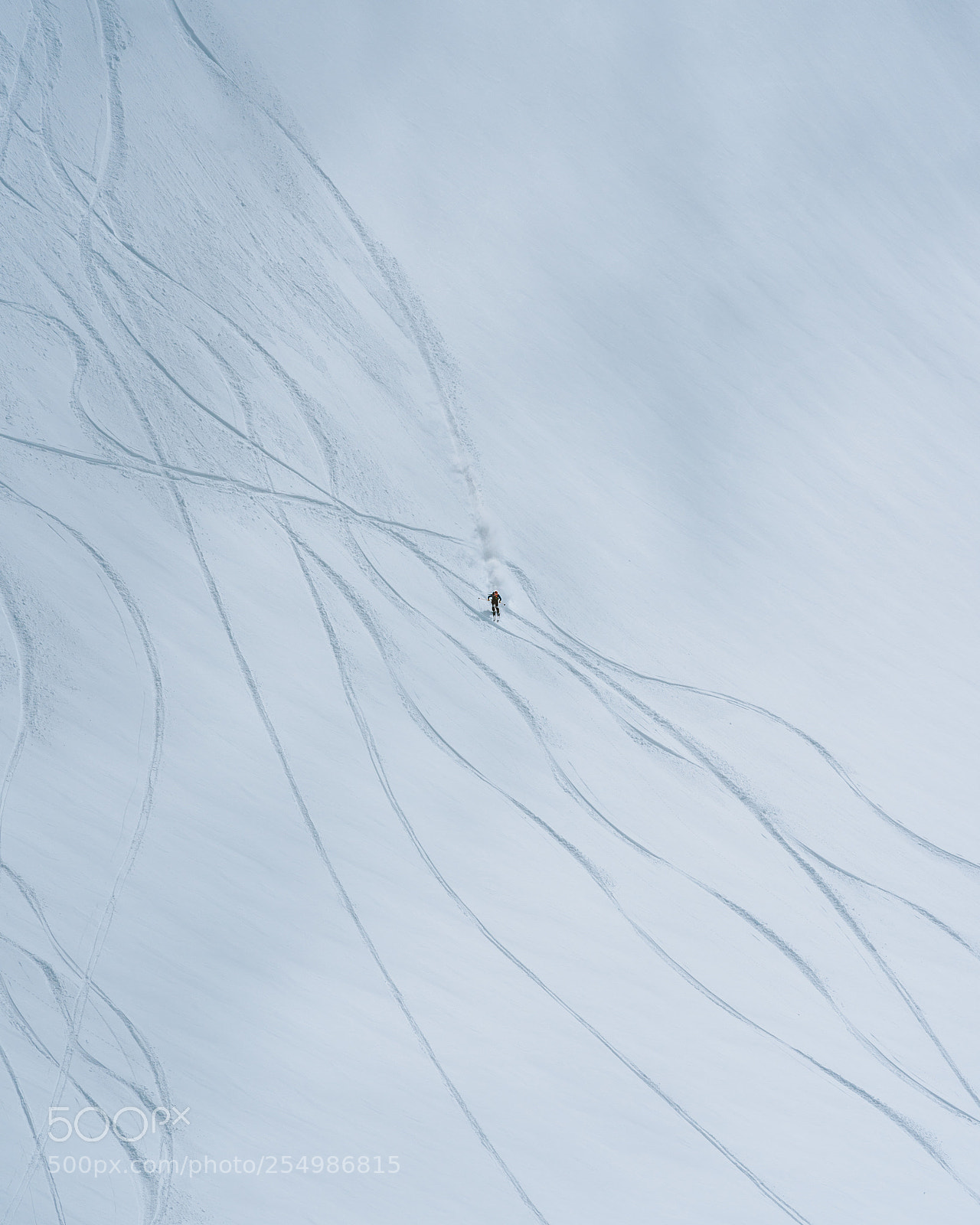 Sony a7R III sample photo. Ant man going down photography