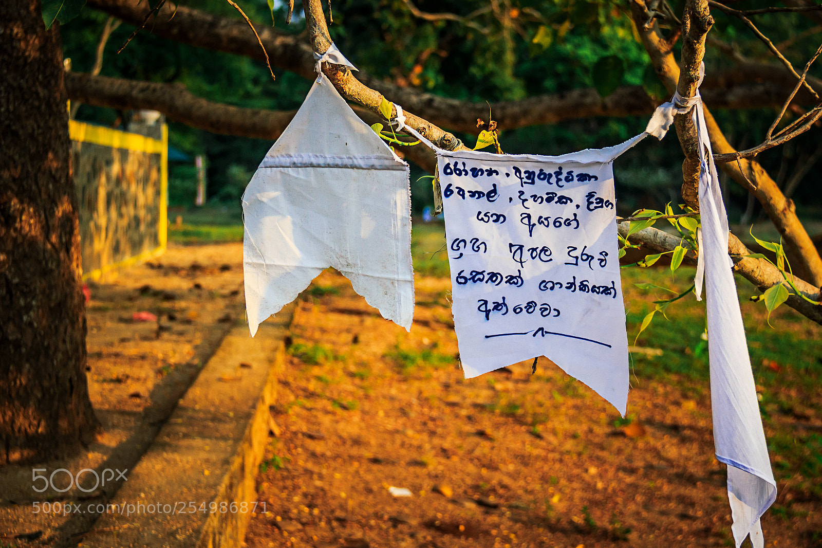 Canon EOS 600D (Rebel EOS T3i / EOS Kiss X5) sample photo. Prayer flags, medirigiriya, sri photography