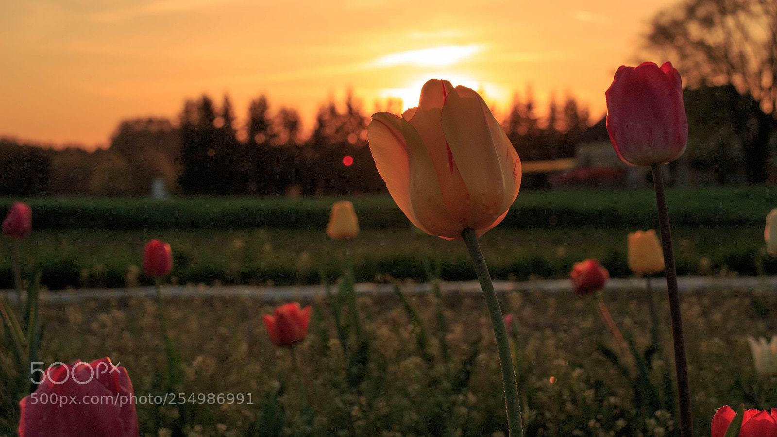 Canon EOS 100D (EOS Rebel SL1 / EOS Kiss X7) sample photo. Dawn photography