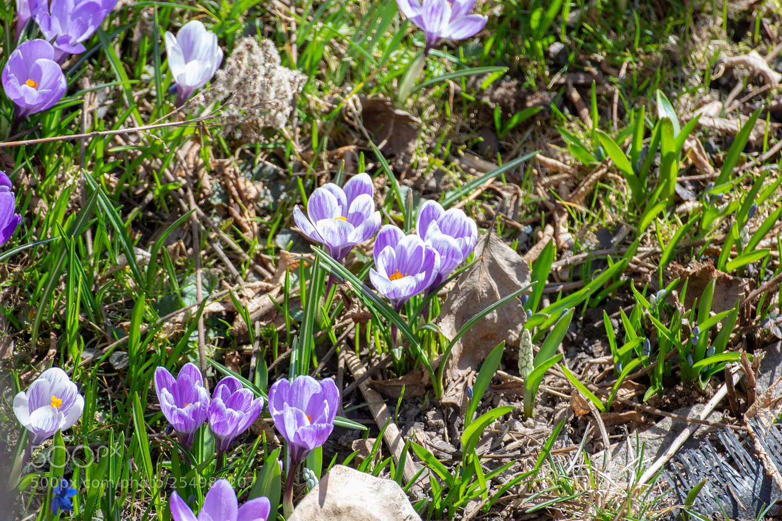 Nikon D7200 sample photo. Dsc_1254-2.jpg photography