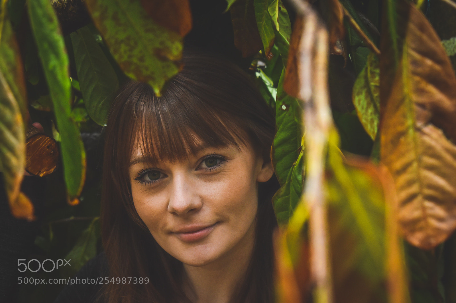 Nikon D5600 sample photo. Natural beauty photography