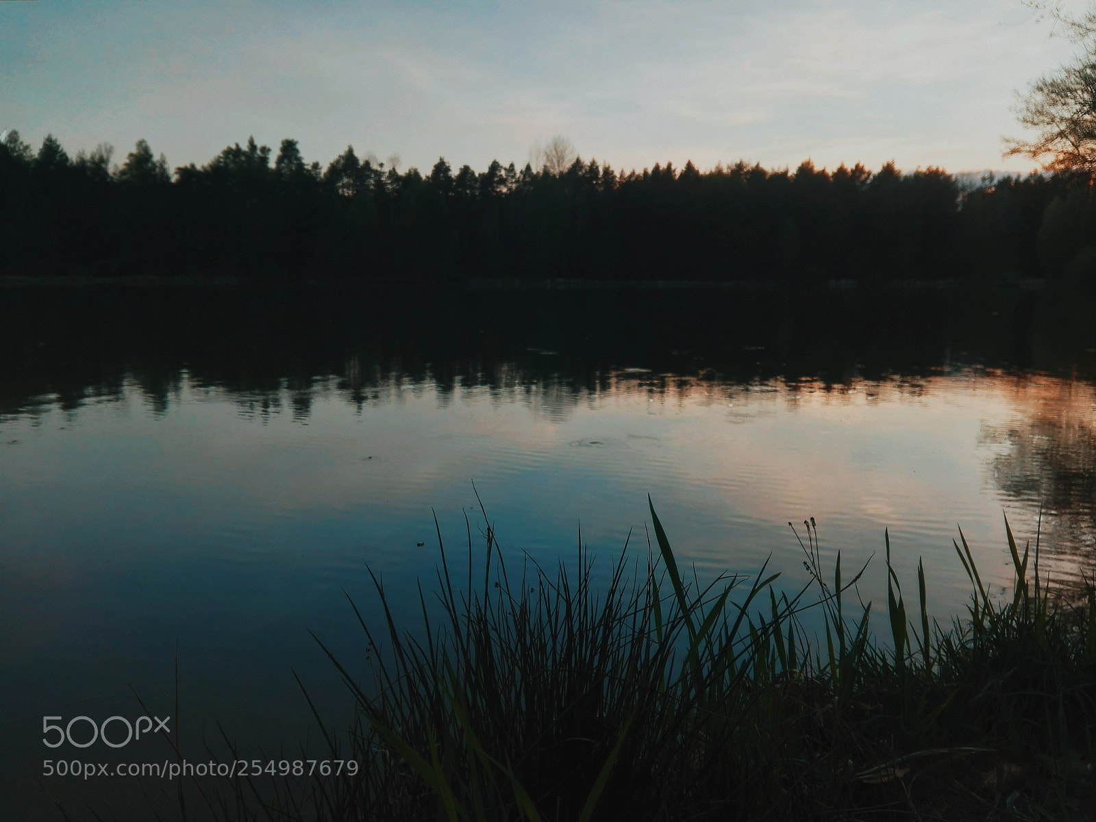 HUAWEI P8 Lite sample photo. Untitled photography