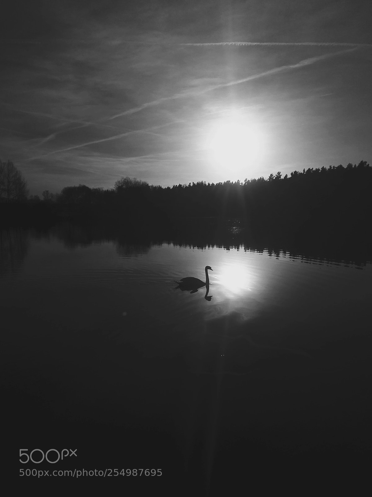 HUAWEI P8 Lite sample photo. Untitled photography