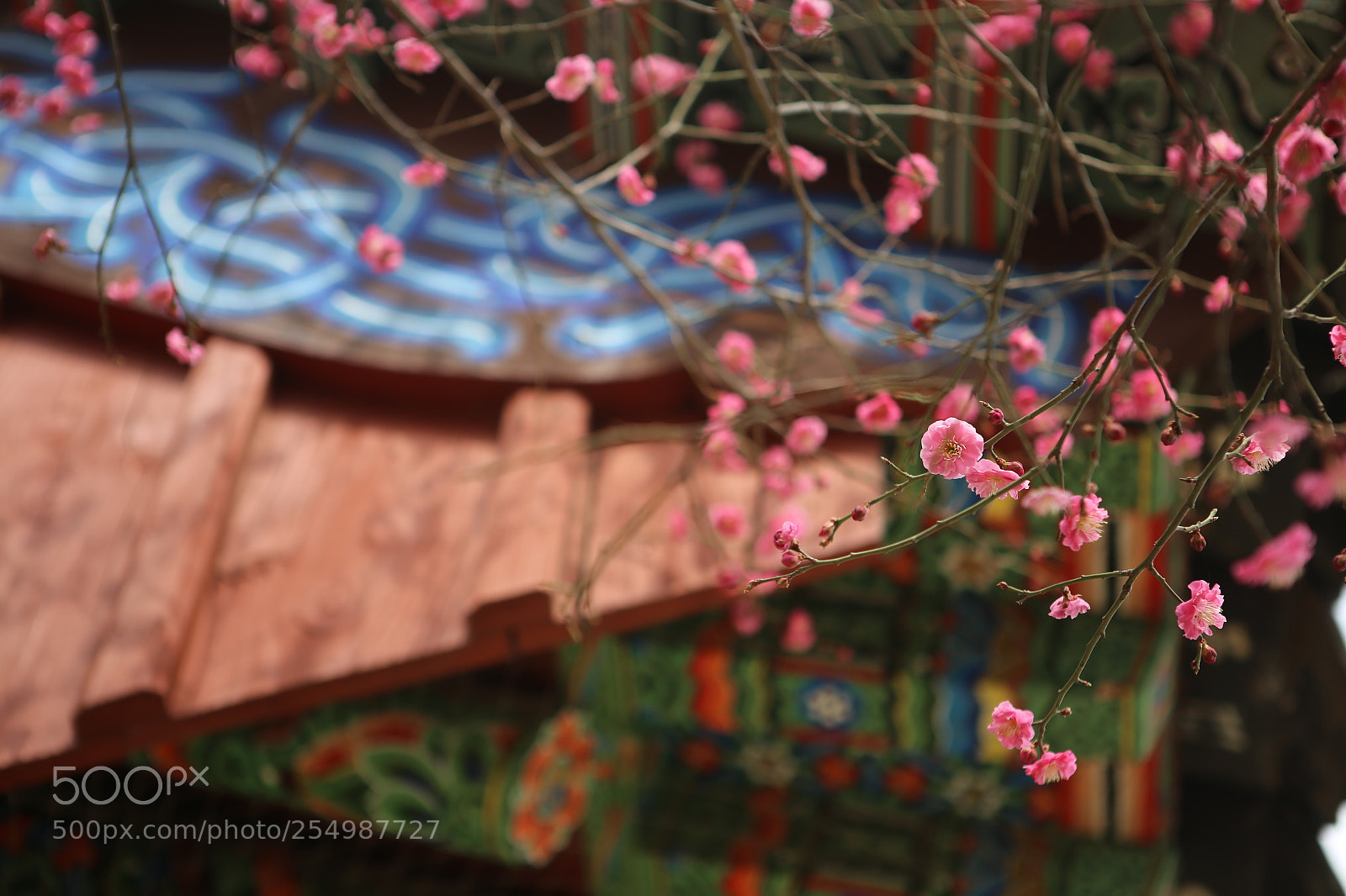 Canon EOS 6D + Canon EF 24-70mm F2.8L USM sample photo. Img photography
