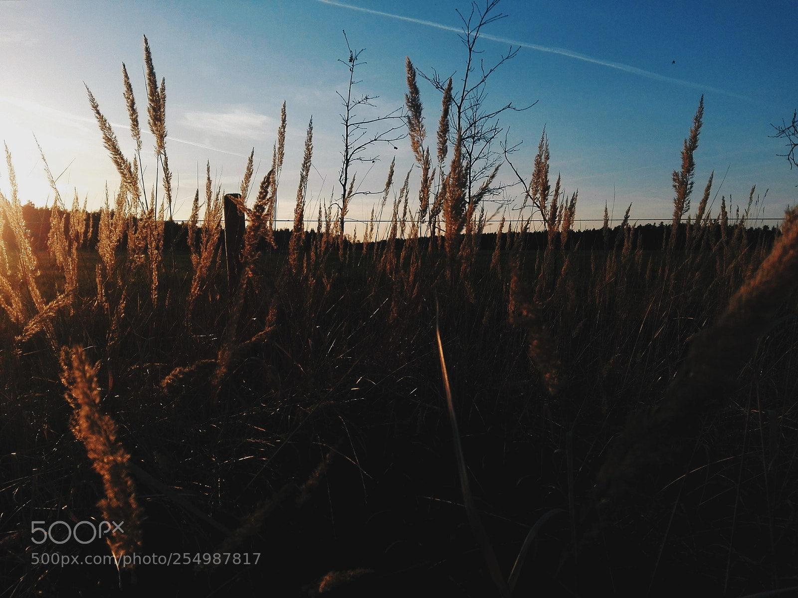 HUAWEI P8 Lite sample photo. Untitled photography