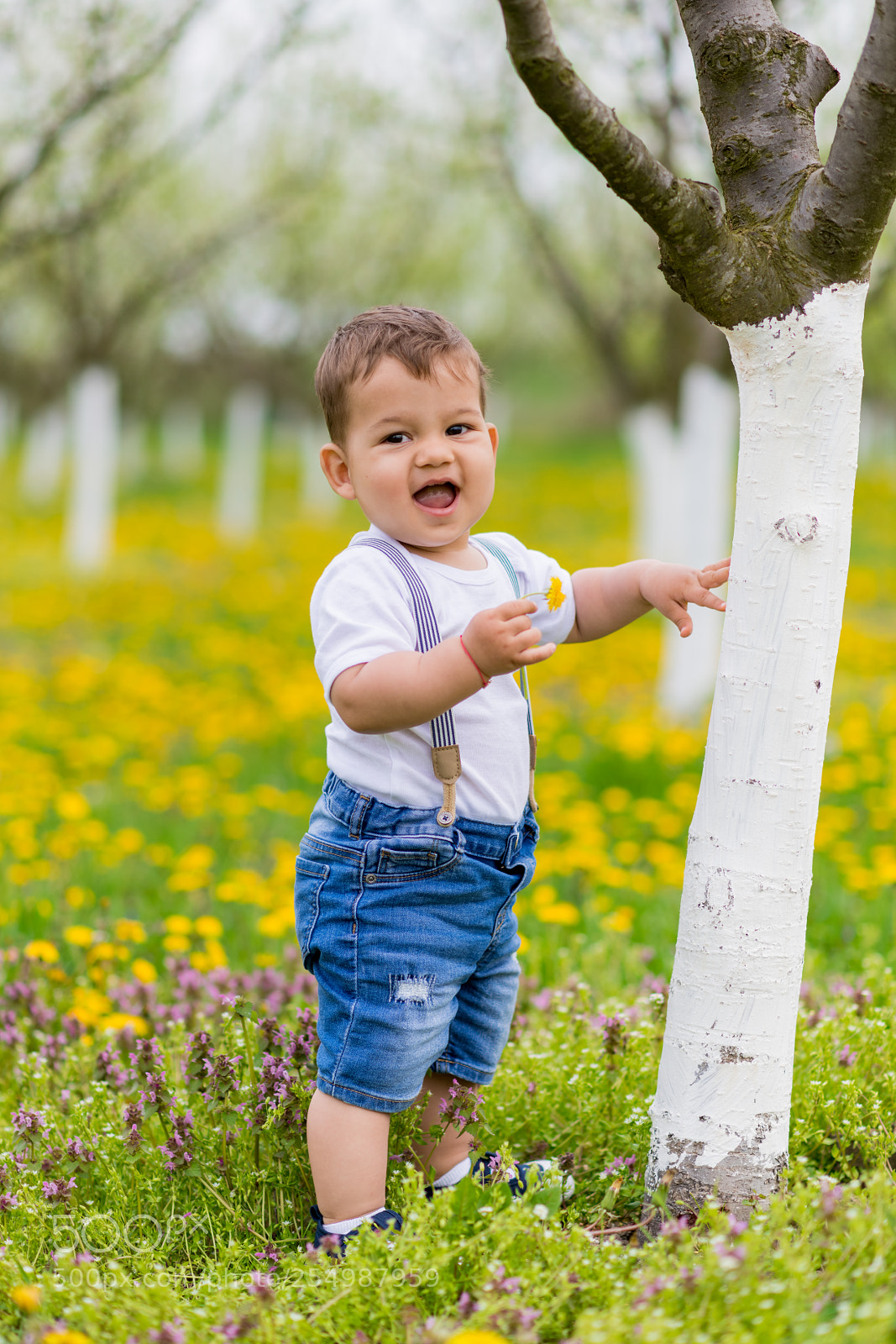 Nikon D850 sample photo. Young baby photography