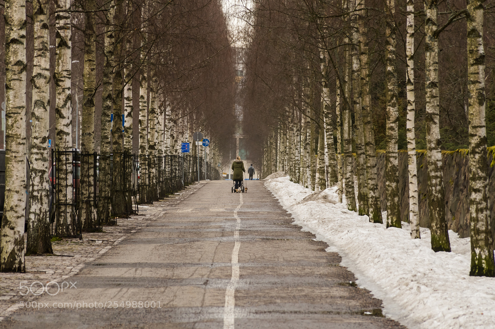 Nikon D7100 sample photo. Walking.. photography