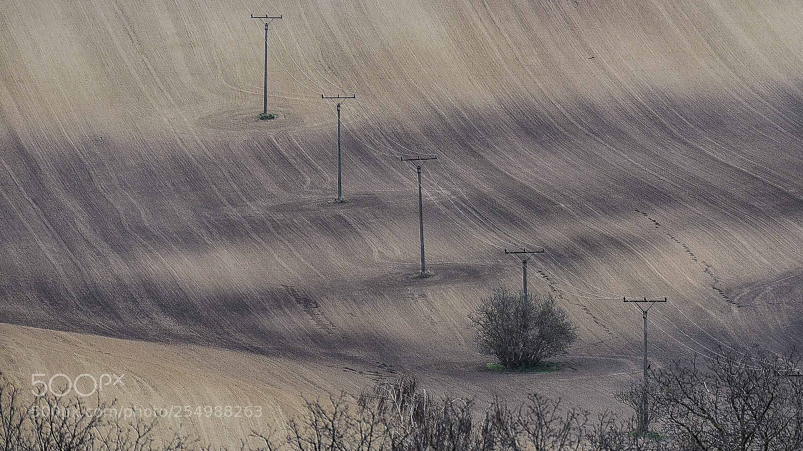 Nikon D610 sample photo. Land lines photography