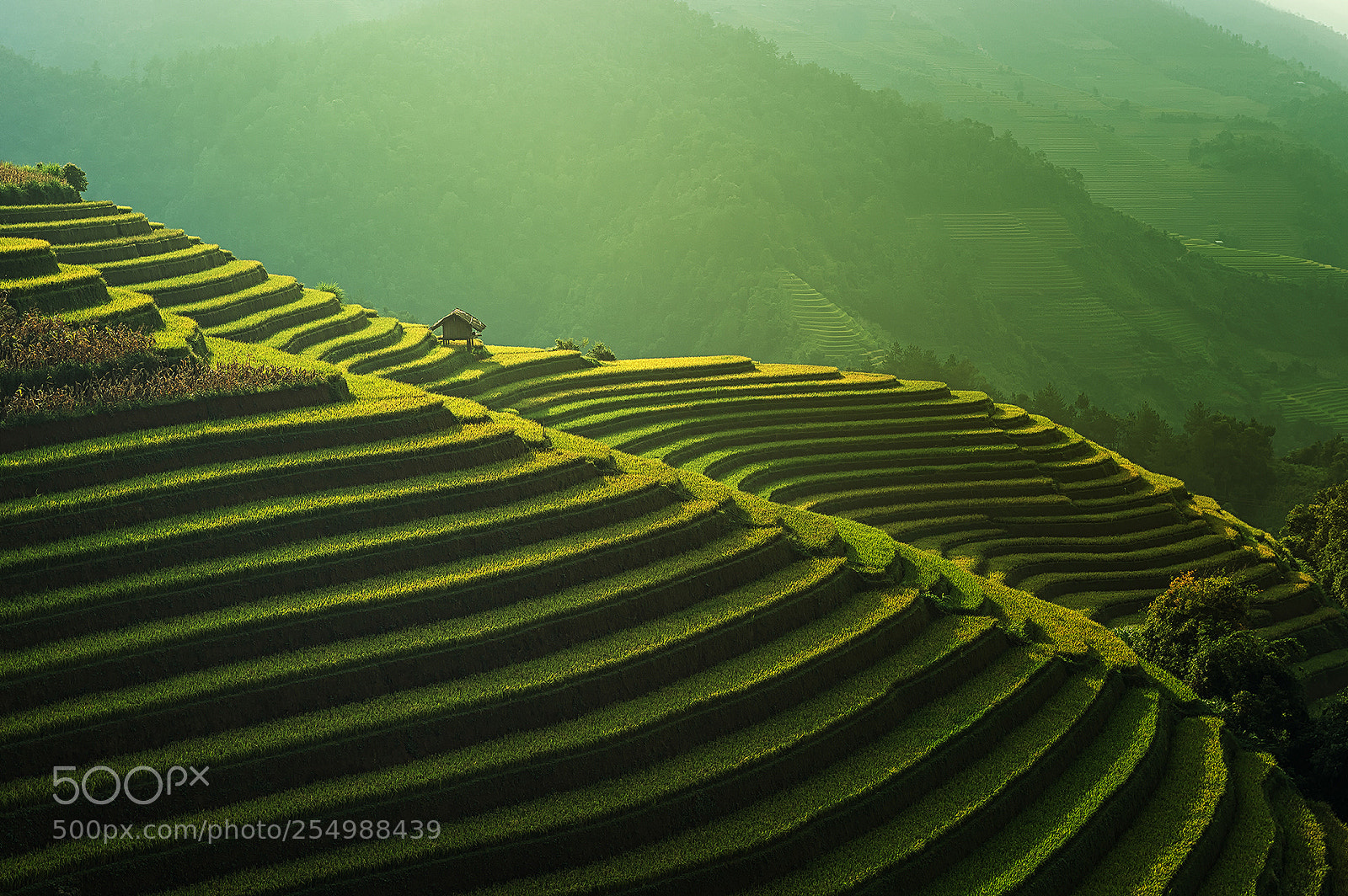 Nikon Df sample photo. Mu cang chai, vietnam photography