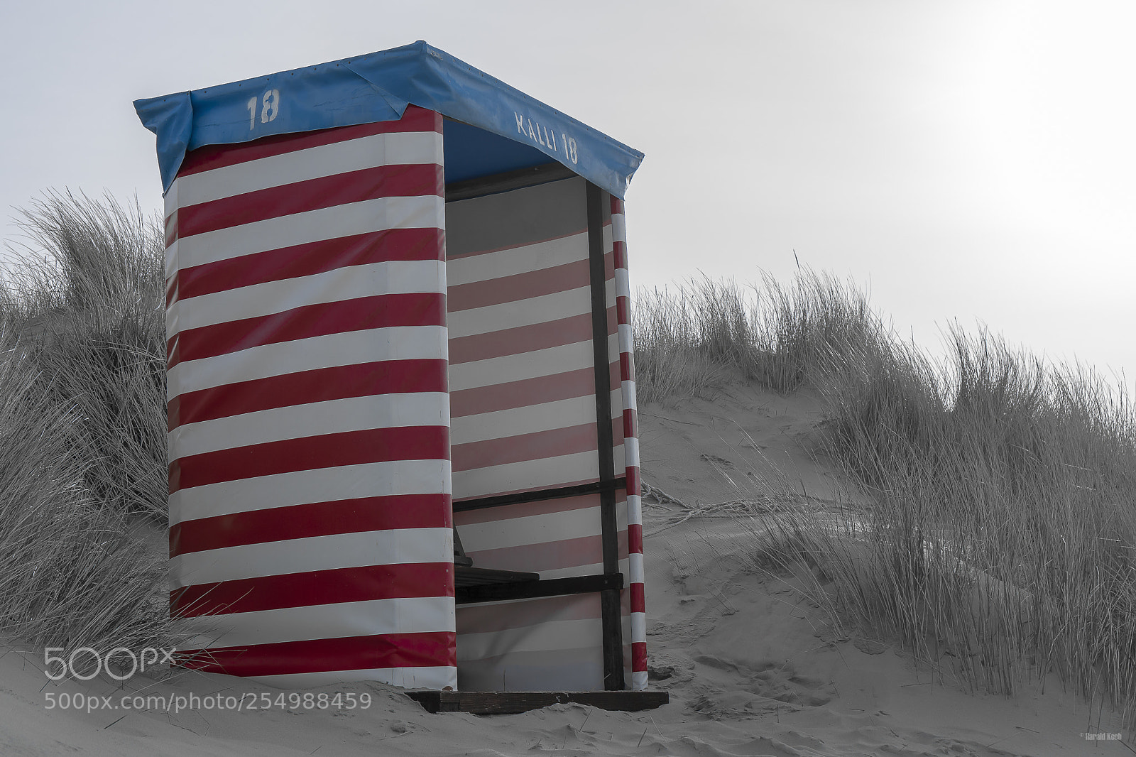 Sony a6300 sample photo. Borkum photography