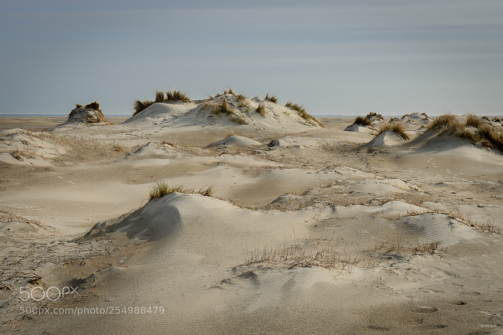 Sony a6300 sample photo. Borkum photography