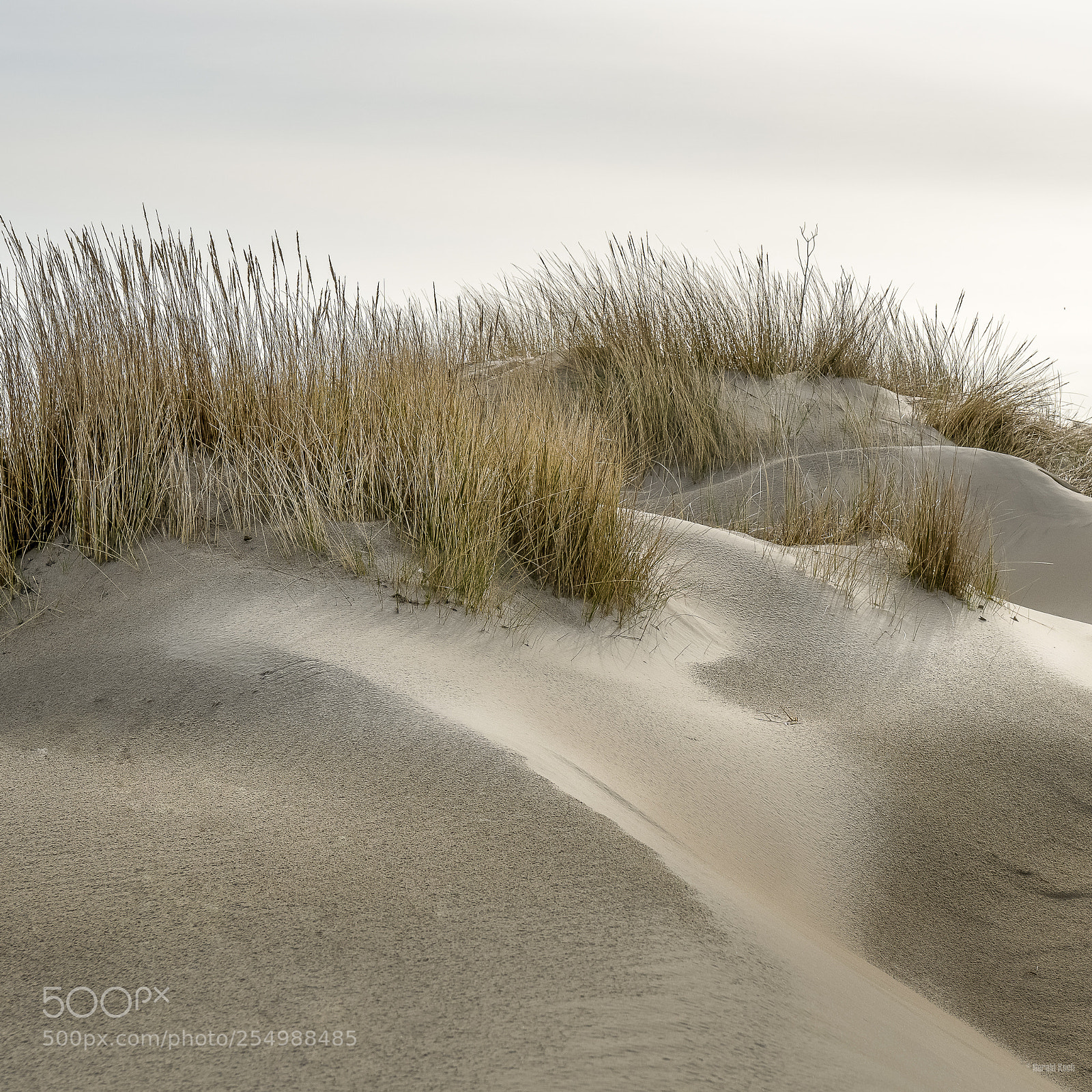 Sony a6300 sample photo. Borkum photography