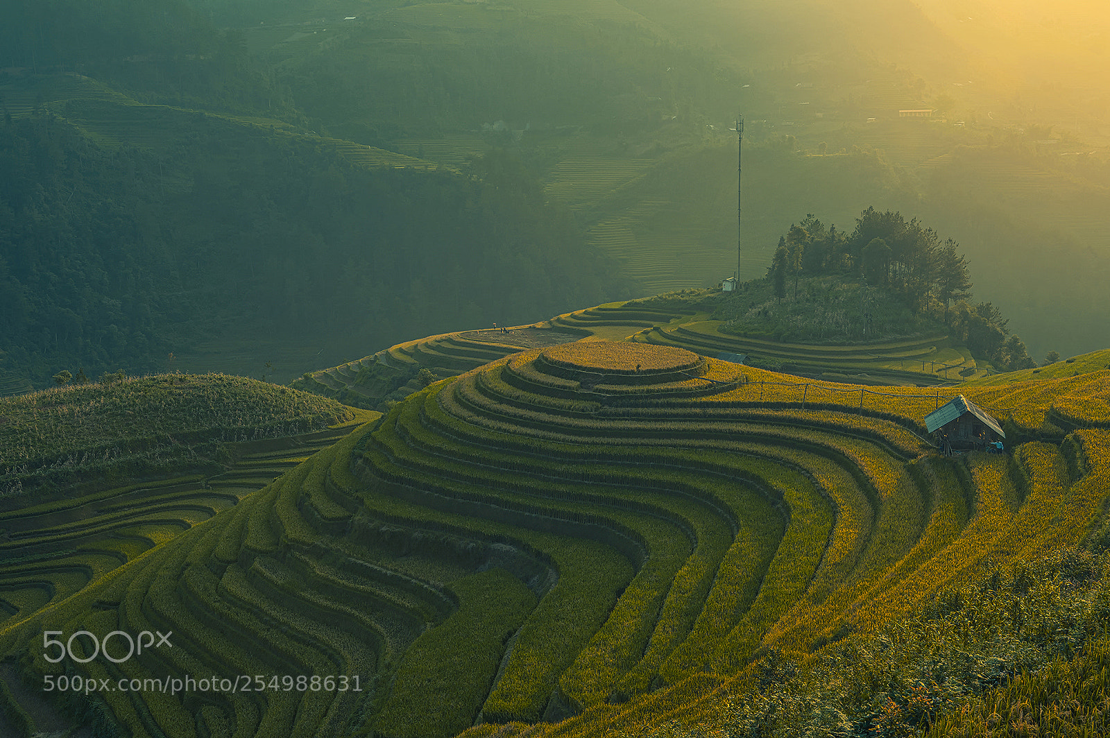 Nikon Df sample photo. Mu cang chai, vietnam photography