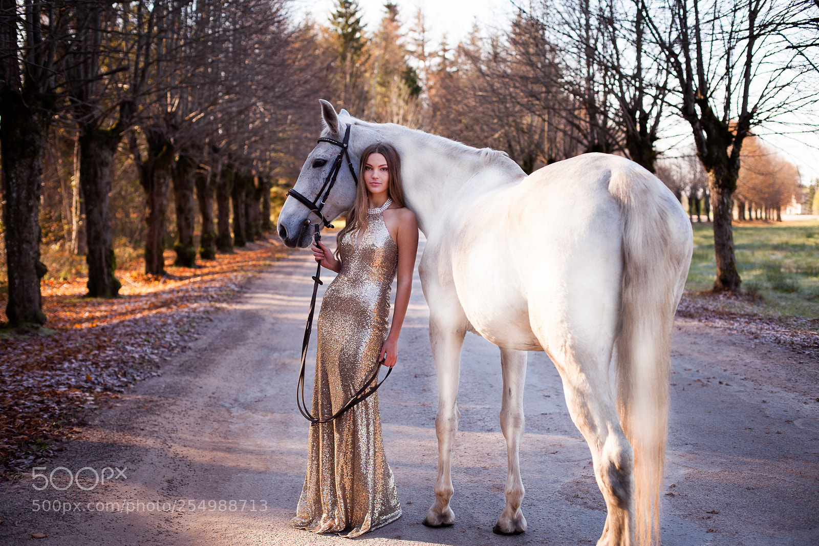 Canon EOS 5D Mark II sample photo. Katrin with horse photography