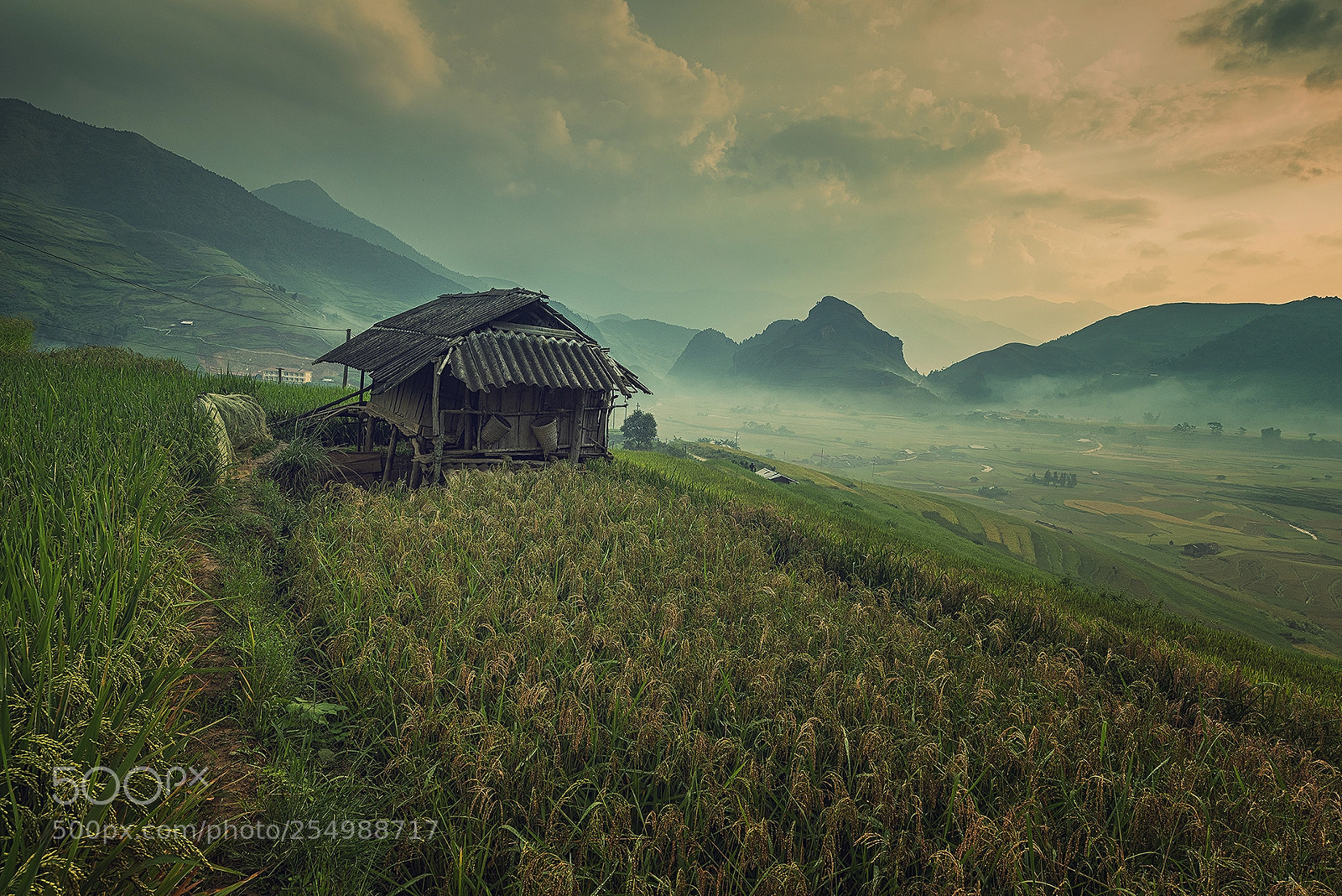 Nikon D810 sample photo. Mu cang chai, vietnam photography