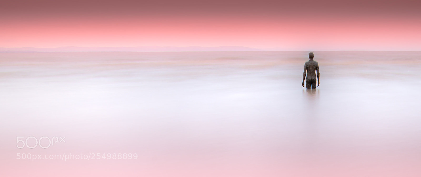 Nikon D800 sample photo. Touching the pink photography