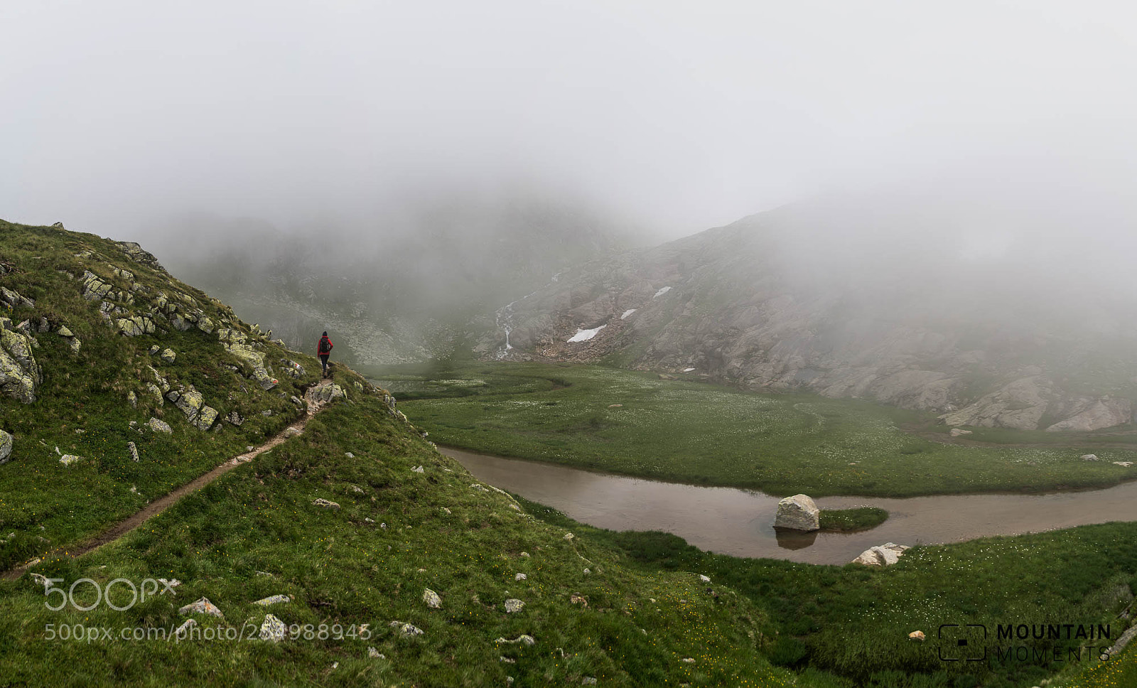 Nikon D610 sample photo. Wandering photography