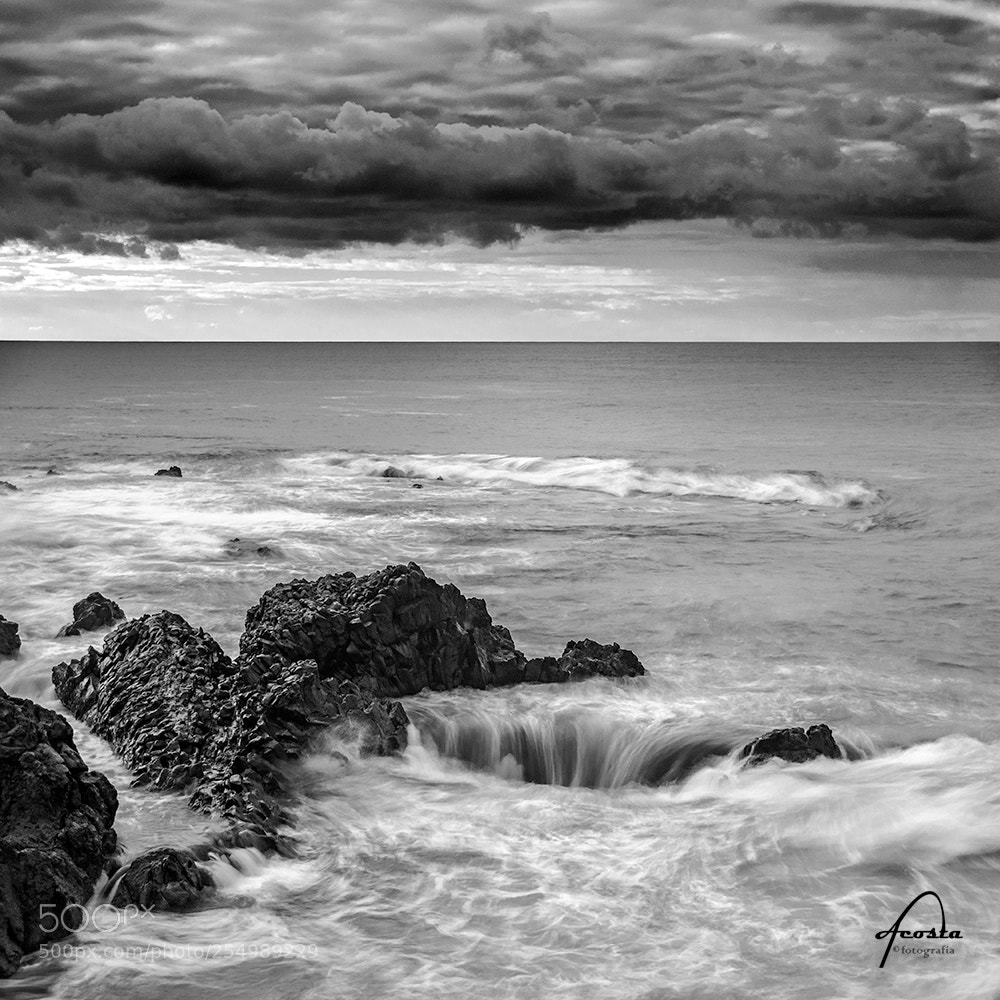Nikon D5000 sample photo. Grey afternoom photography