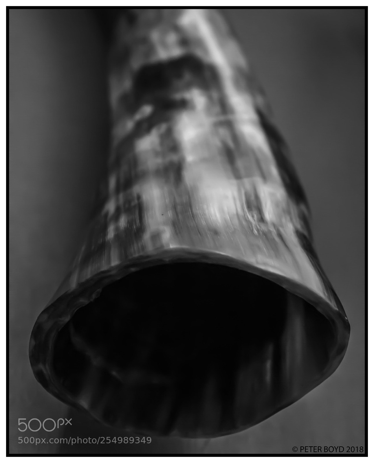 Canon EOS 60D sample photo. The drinking horn photography