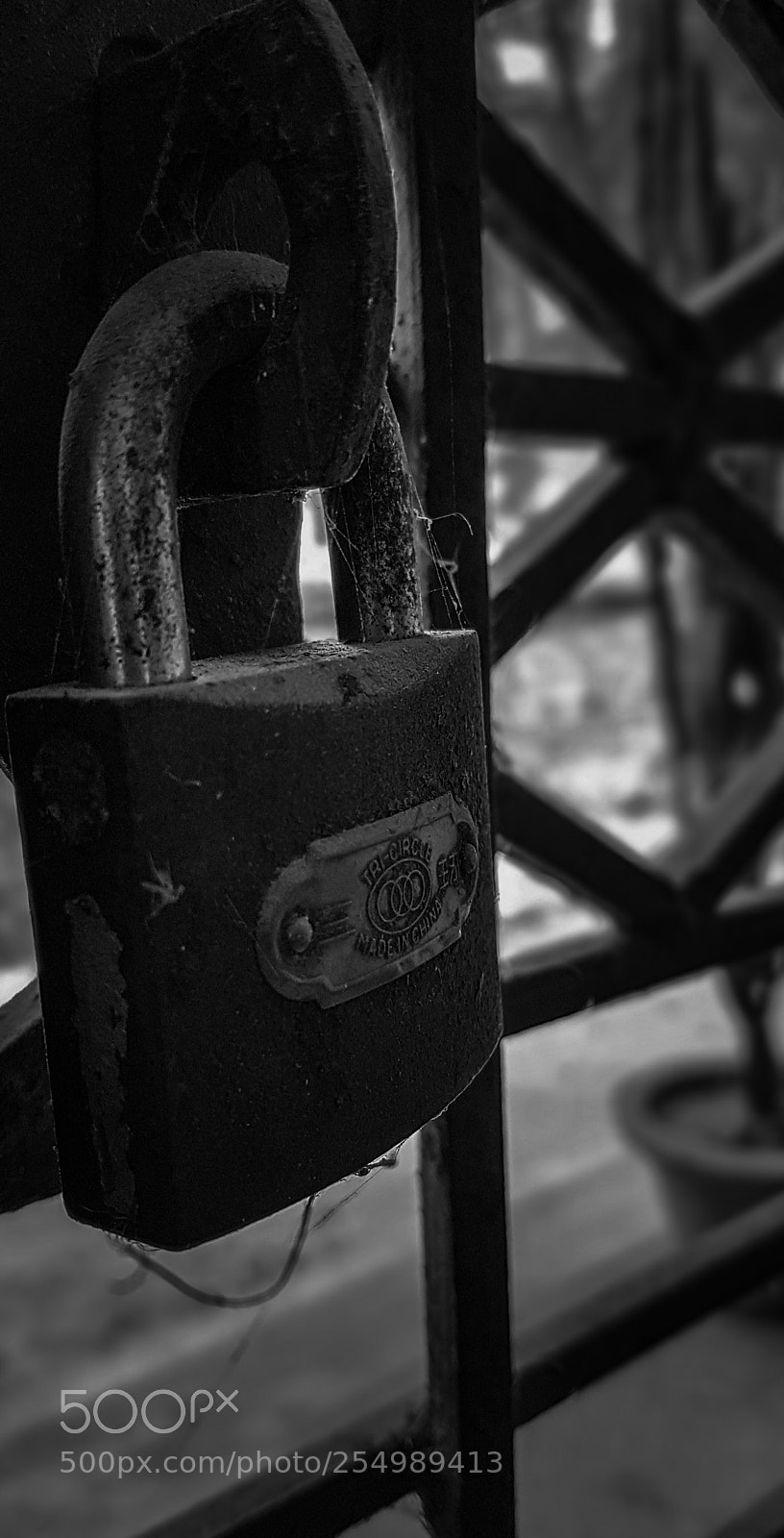 Samsung Galaxy S7 Edge sample photo. Society. photography