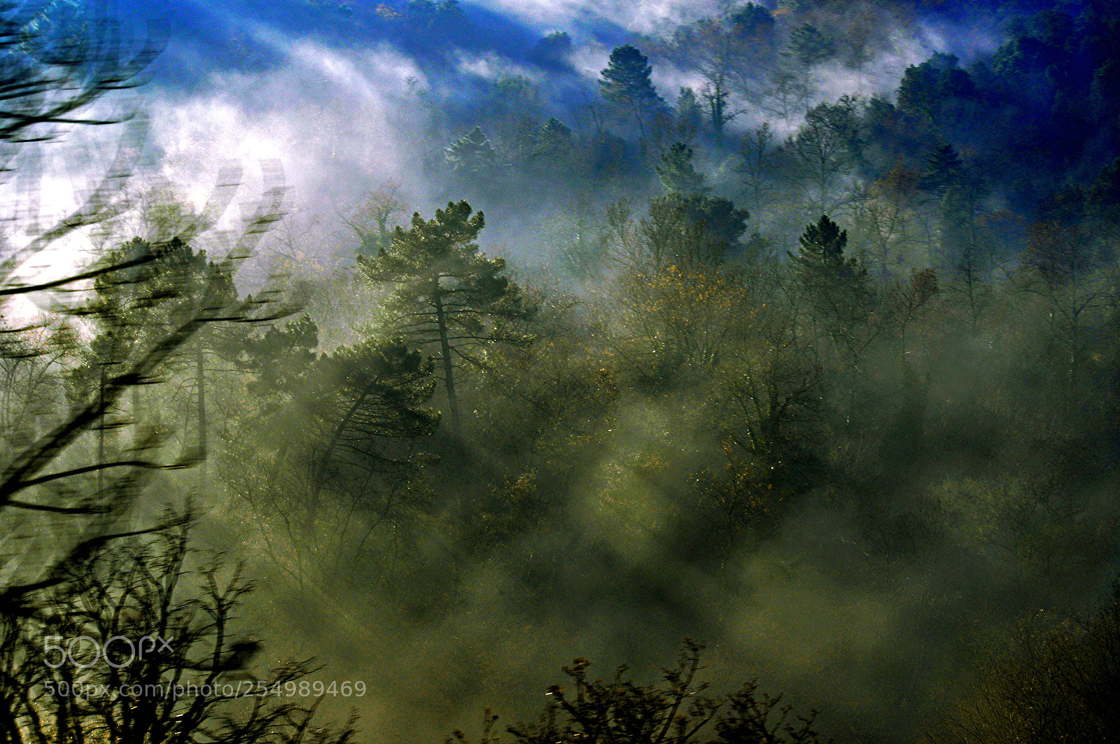 Nikon D5000 sample photo. Fog photography
