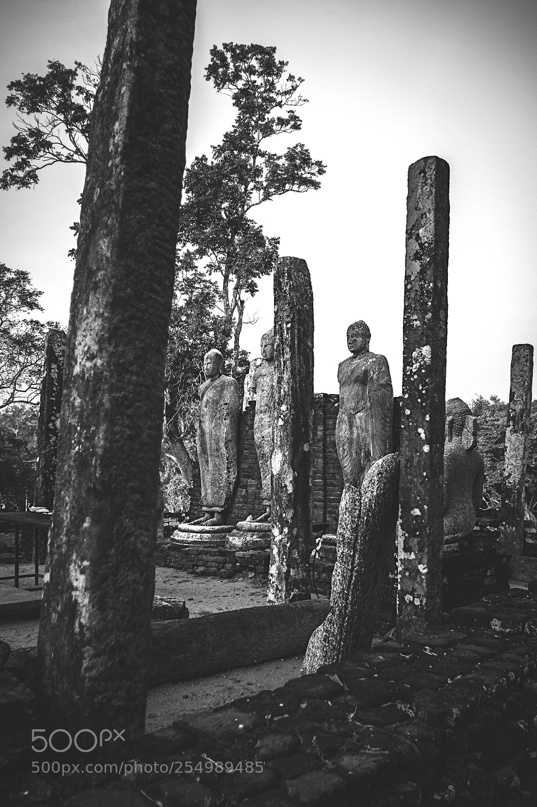 Canon EOS 600D (Rebel EOS T3i / EOS Kiss X5) sample photo. The medirigiriya buddhas #3 photography