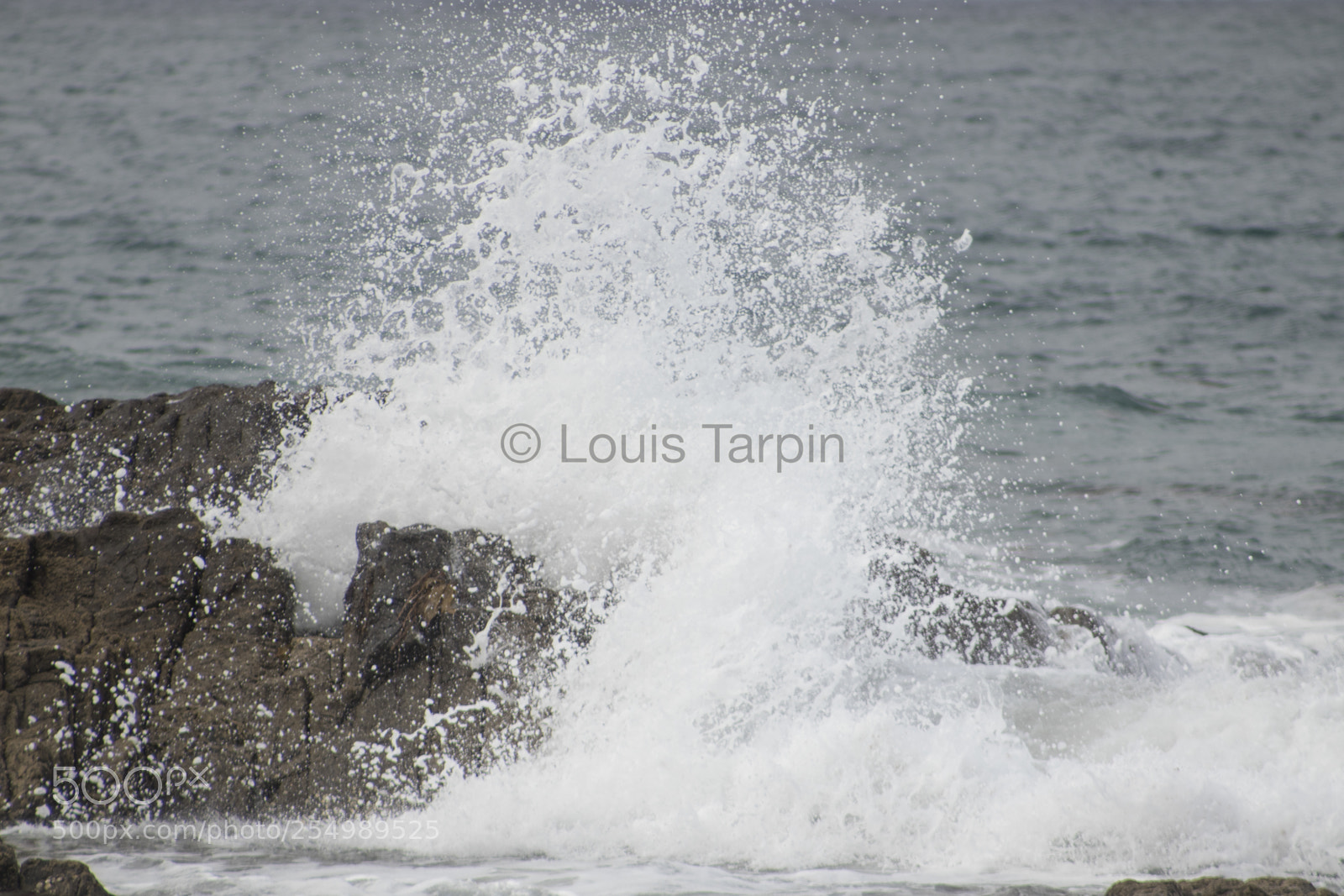 Canon EOS 77D (EOS 9000D / EOS 770D) sample photo. Where the sea meets photography