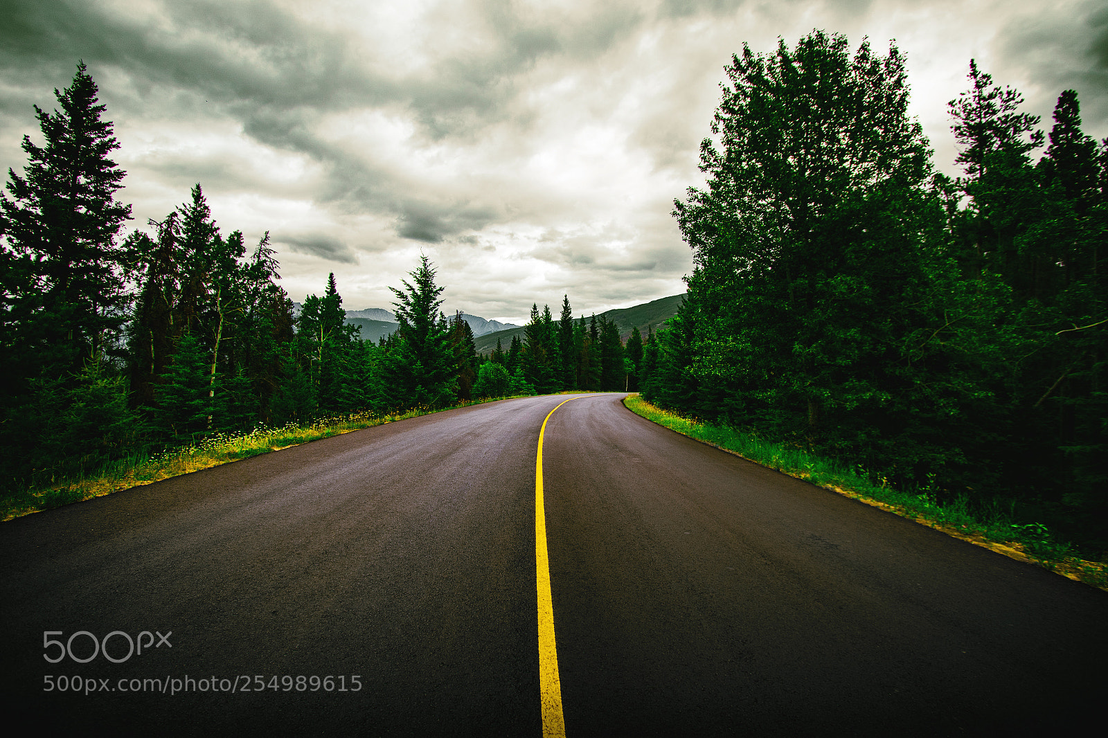 Canon EOS 7D Mark II sample photo. Road trip photography